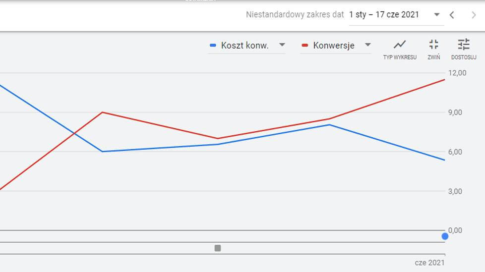 Reklamy w Google Ads - Phoenix Project